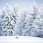 - Fabulous 2-bedroomed Flat Apartment Crans-Montana