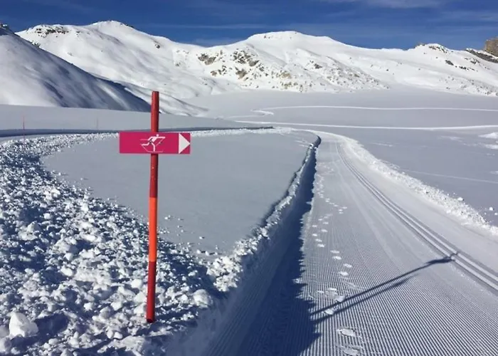 - Fabulous 2-bedroomed Flat Apartment Crans-Montana