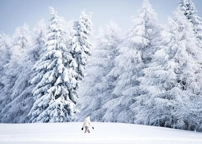 - Fabulous 2-bedroomed Flat Appartement Crans-Montana